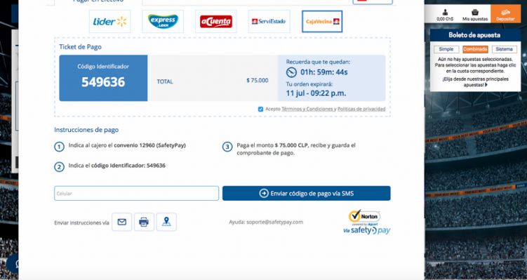 Código Safetypay
