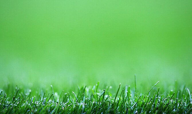 Imagen del césped de un campo de fútbol. Cuotas y picks Bragantino vs Libertad, Copa Sudamericana.