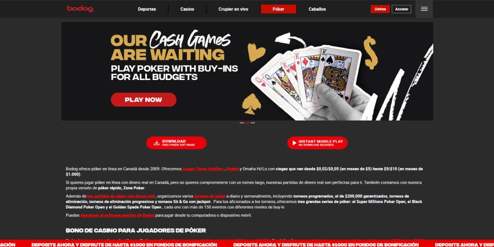 Bodog poker